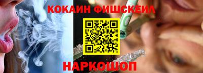 индика Ставрополь