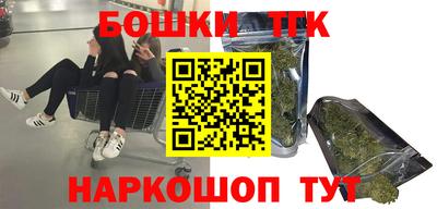 индика Ставрополь