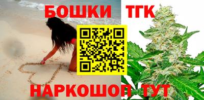 индика Ставрополь