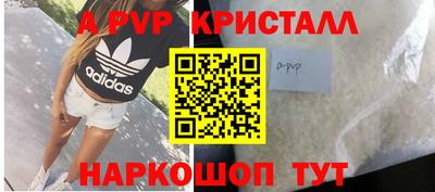 индика Ставрополь