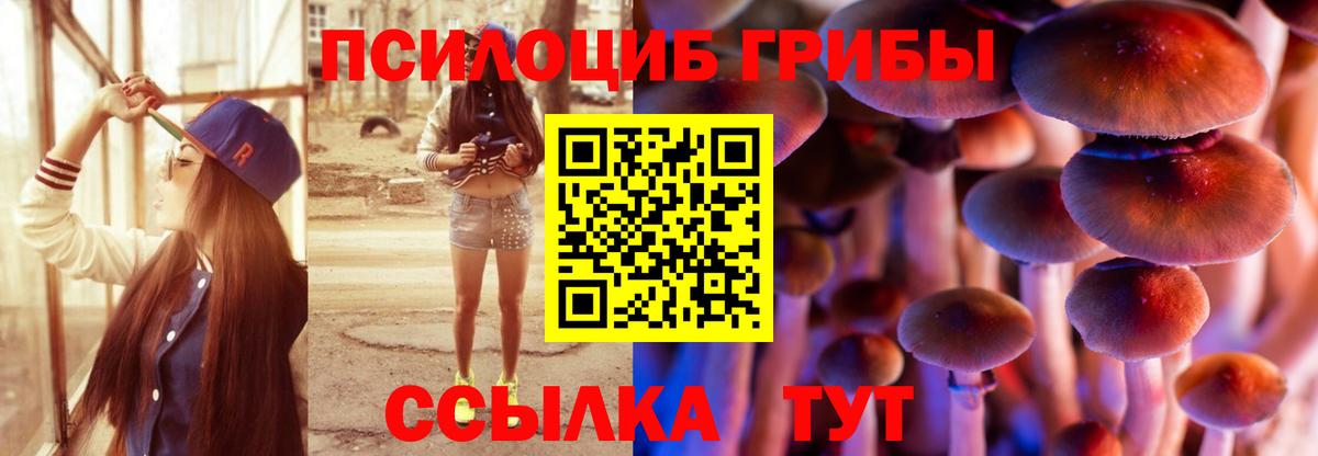 Псилоцибиновые грибы Psilocybine cubensis  Вход с VPN  Псилоцибиновые грибы Psilocybe  Ставрополь 